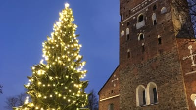 Julgranen vid Åbo domkyrka.