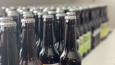 Buteljerade flaskor vid ett mikrobryggeri.