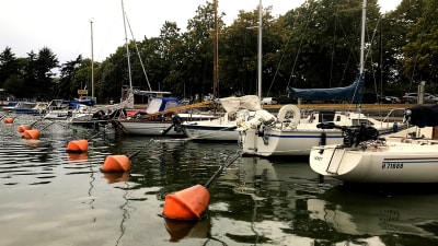 Små segelbåtar med fällda segel som står i hamnen.