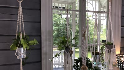 makraméamplar som hänger vid ett fönster
