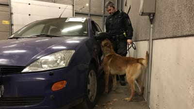 Hundförare Björn Borg över eftersök med polishunden Nasu.