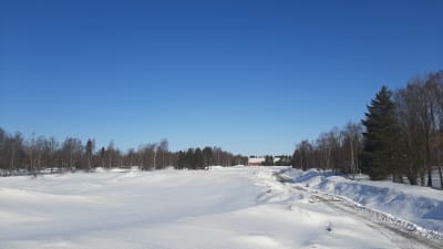 Snölandskap