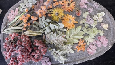 Kanderade bär och blommor på ett fat
