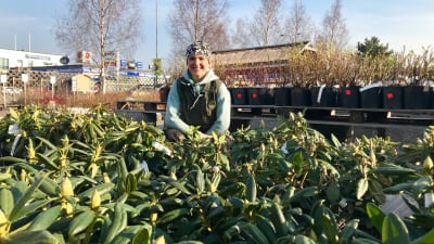 Trädgårdsföretagre Lena Gillberg vid Blomtorget i Vasa.