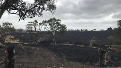 Skogsbränderna har dragit fram över Lobethal, Adelaide 21.12.2019.