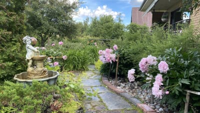 Mitt i en trädgård där en stengång löper mitt i bilden, till vänster finns en fontän och till höger stora rosa blommor.