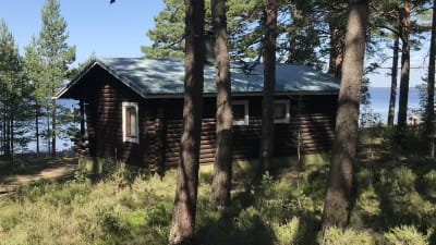 En mörkbrun stockbastu står i skogsbrynet intill havet.