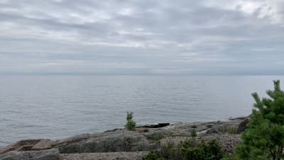 På bilden syns öppet hav, fotograferat från Mjölös södra sida. I förgrunden en tall och klippor, efter det bara öppet vatten. Det är mulet.