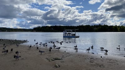 En båt samlar in skräp i havet. 