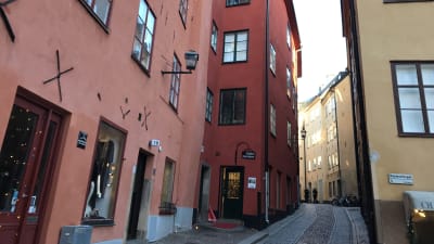 Trång kullerstensgata i Gamla stan i Stockholm, med rosa och rött hus.