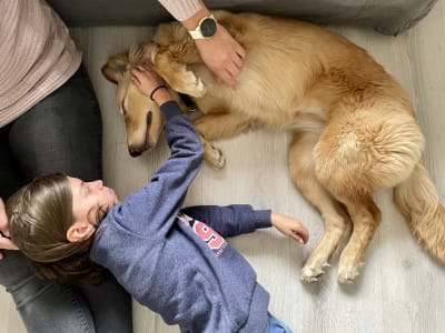Ett barn ligger på golvet och klappar en sovande hund.