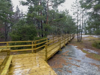 En spång med räcken gjord av tryckimpregnerat virke. 