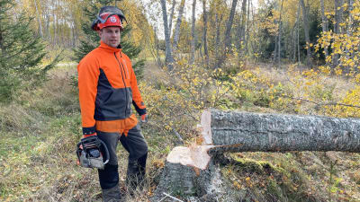 En man med skogshuggarutrustning står i en skog vid ett fällt träd