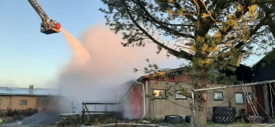 Släckningsarbete av brand i svinhus. 