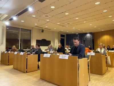 Personer som sitter i en fullmäktigesal.