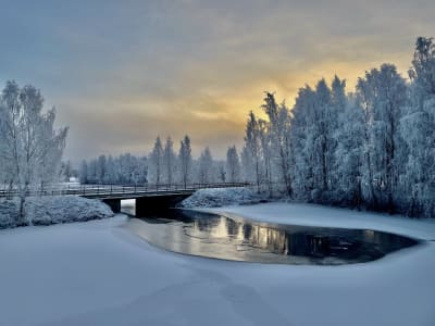 En landsvägsbro i ett vinterlandskap med träd och ett vattendrag.