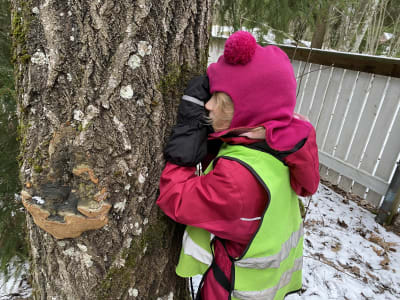 En flicka som undersöker ett träd med hjälp av en lupp.