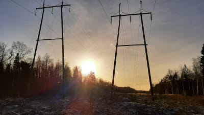 Kratledning i solnedgång.