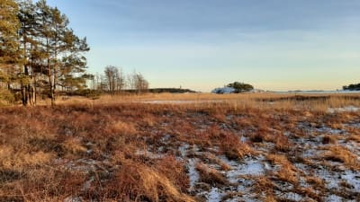 Strandbete vid Kobben i Hangö.