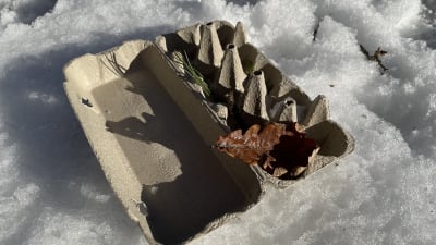 Munapakkaus lumessa jossa on ruskea tammenlehti, kuusenneula ja oksan palanen.