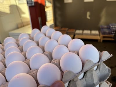 Långa rader ägg i stor förpackning. 