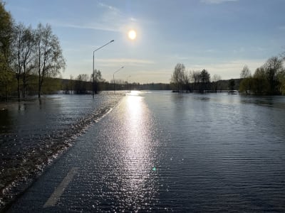 Gränsen mellan Finland och Sverige i solsken. Vägen är täckt av vatten.