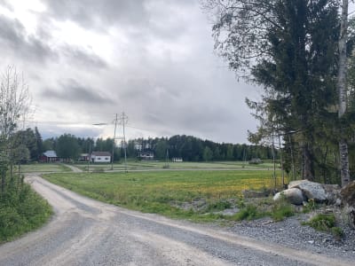 Liten grusväg löper genom landsbygdsidyll. En blomsteräng syns i förgrunden och längre bort en kraftledning och några hus.