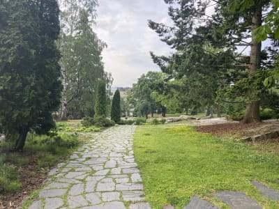 Leninparken på sommaren i Helsingfors. En stengång med gräsmatta och höga träd på vardera sida. 