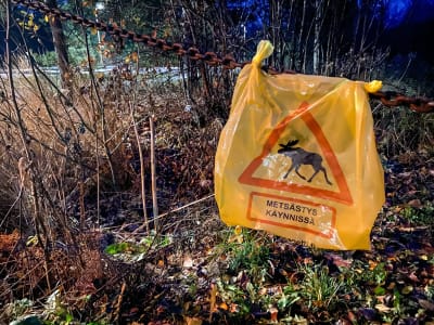 En gul plastpåse fastbunden i en ketting vid en skogsväg. På plastpåsen finns en bild av en älg i en triangel och det står på finska att älgjakt pågår.