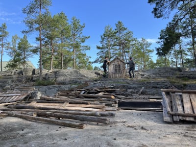 Skog