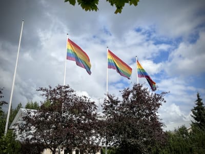 Tre regnbågsflaggor i flaggstänger bredvid varandra. 