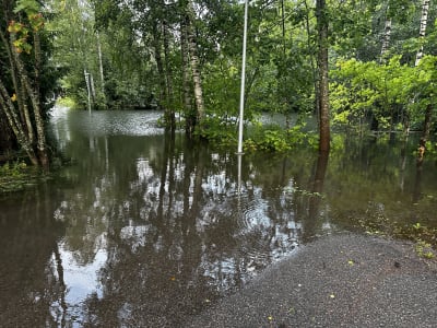 Översvämmat parkområde. 