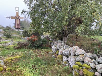 En väderkvarn och en stengärdsgård.