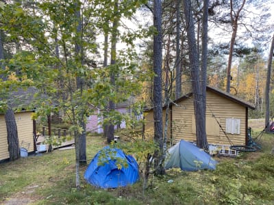 Några tält och trästugor i skog.