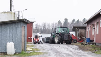 smittarbete på pälsfarm