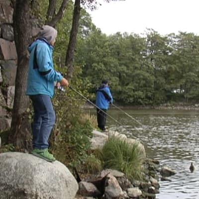 Fritidsfiskare vid Gammelstadsforsen i Helsingfors.