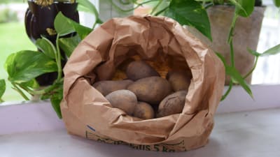 En öppen papperspåse fylld med jordig potatis.