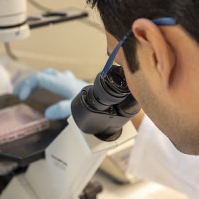 Mies tutkii mikroskoopilla näytettä Jyväskylän yliopiston bio- ja ympäristötieteiden laitoksen laboratoriossa.