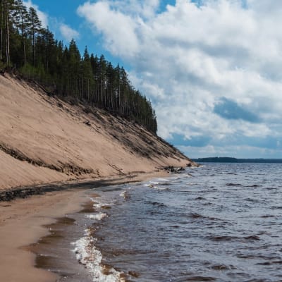 Järvenranta, vedestä nousee korkea hiekkasärkkä, särkän päällä havumetsää