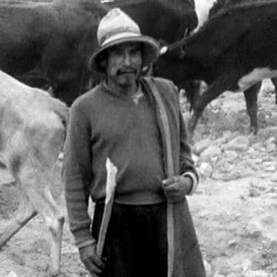 Perulainen paimen vuonna 1969
