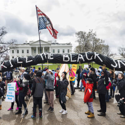 Arkistokuva. Mielenosoittajat vastustivat presidentti Donald Trumpin tukea putkihankkeelle Washingtonissa Valkoisen talon edustalla maaliskuussa 2017. 