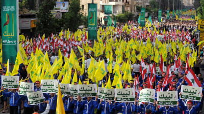 En lång demonstration med gula Hizbollah-flaggor och rödvita Libanon-flaggor.