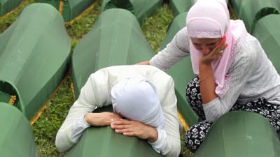 Bosniska muslimer sörjer över en kista i Potocari den 11 juli 2014. Under minnesceremonin begravdes 175 identifierade bosniakers kvarlevor.