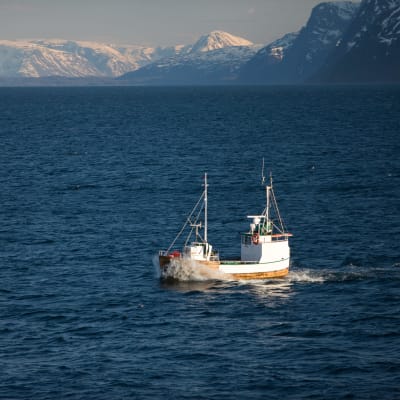 Kalastuslaiva Norjan rannikolla.