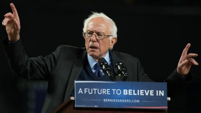 Demokraternas presidentaspirant Bernie Sanders på valmöte i Seattle, Washington