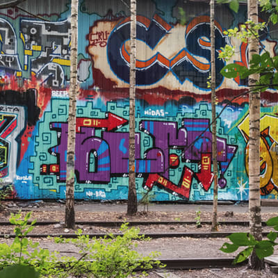 Gamla tågspår där träd växer upp mellan spåren. I bakgrunden en färggrant målad vägg.