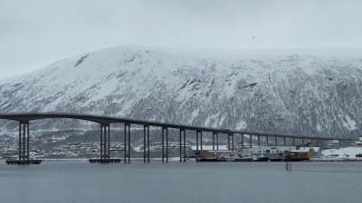 Hög bro mellan Tromsö och fastlandet, snötäckta fjäll i bakgrunden.