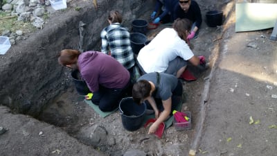 Fem frivilliga gräver försiktigt fram det medeltida Åbo i en grop På museet Aboa Vetus & Ars Novas gård,