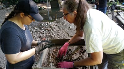 Arkeologen Elina Mattila och Hanna-Maija Saarimaa sållar jord för att hitta eventuella fynd i en arkeologisk utgrävning vid museet Aboa Vetus & Ars Nova.