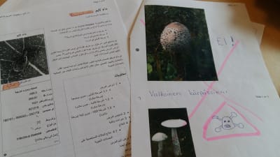 Broschyr över borrelios och den giftiga vita flugsvampen, vilken delats ut till flyktingar i Pargas.
